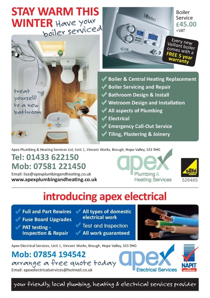 Apex Combo Ad - Peak Advertiser 132x200